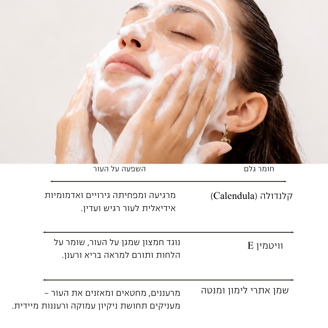 סבון מוס לניקוי הפנים