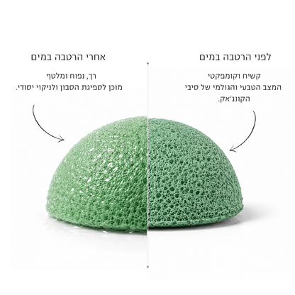 ספוג קונג'אק תה ירוק